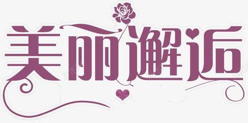 完美邂逅 个人资料,探寻缘分中的奇妙相遇